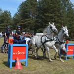 IV Mistrzostwa Kaszub w Powożeniu Zaprzęgami Konnymi
