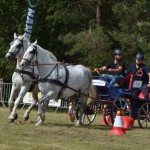 IV Mistrzostwa Kaszub w Powożeniu Zaprzęgami Konnymi
