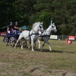 IV Mistrzostwa Kaszub w Powożeniu Zaprzęgami Konnymi