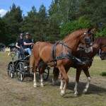 IV Mistrzostwa Kaszub w Powożeniu Zaprzęgami Konnymi