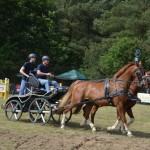 IV Mistrzostwa Kaszub w Powożeniu Zaprzęgami Konnymi