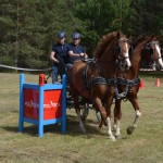 IV Mistrzostwa Kaszub w Powożeniu Zaprzęgami Konnymi