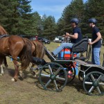 IV Mistrzostwa Kaszub w Powożeniu Zaprzęgami Konnymi