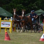IV Mistrzostwa Kaszub w Powożeniu Zaprzęgami Konnymi