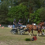 IV Mistrzostwa Kaszub w Powożeniu Zaprzęgami Konnymi