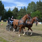 IV Mistrzostwa Kaszub w Powożeniu Zaprzęgami Konnymi