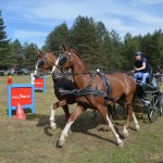 IV Mistrzostwa Kaszub w Powożeniu Zaprzęgami Konnymi
