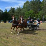 IV Mistrzostwa Kaszub w Powożeniu Zaprzęgami Konnymi