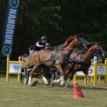 IV Mistrzostwa Kaszub w Powożeniu Zaprzęgami Konnymi