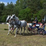IV Mistrzostwa Kaszub w Powożeniu Zaprzęgami Konnymi