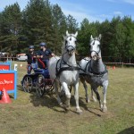 IV Mistrzostwa Kaszub w Powożeniu Zaprzęgami Konnymi