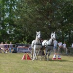 IV Mistrzostwa Kaszub w Powożeniu Zaprzęgami Konnymi