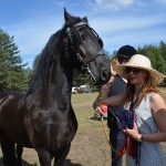 IV Mistrzostwa Kaszub w Powożeniu Zaprzęgami Konnymi