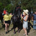 IV Mistrzostwa Kaszub w Powożeniu Zaprzęgami Konnymi