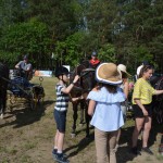 IV Mistrzostwa Kaszub w Powożeniu Zaprzęgami Konnymi