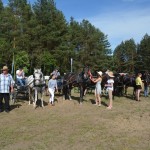 IV Mistrzostwa Kaszub w Powożeniu Zaprzęgami Konnymi