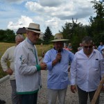 V Mistrzostwa Polski w Koszeniu Zboża