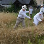 V Mistrzostwa Polski w Koszeniu Zboża