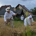 V Mistrzostwa Polski w Koszeniu Zboża