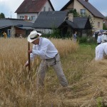 V Mistrzostwa Polski w Koszeniu Zboża