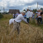 V Mistrzostwa Polski w Koszeniu Zboża