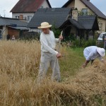 V Mistrzostwa Polski w Koszeniu Zboża