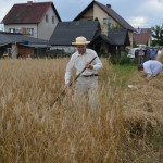 V Mistrzostwa Polski w Koszeniu Zboża