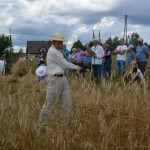 V Mistrzostwa Polski w Koszeniu Zboża