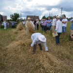 V Mistrzostwa Polski w Koszeniu Zboża