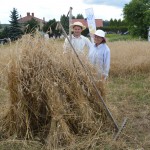 V Mistrzostwa Polski w Koszeniu Zboża
