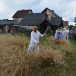 V Mistrzostwa Polski w Koszeniu Zboża