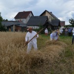 V Mistrzostwa Polski w Koszeniu Zboża