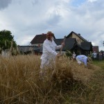 V Mistrzostwa Polski w Koszeniu Zboża