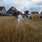 V Mistrzostwa Polski w Koszeniu Zboża