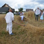 V Mistrzostwa Polski w Koszeniu Zboża