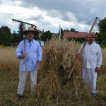 V Mistrzostwa Polski w Koszeniu Zboża