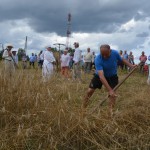 V Mistrzostwa Polski w Koszeniu Zboża