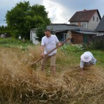 V Mistrzostwa Polski w Koszeniu Zboża