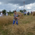 V Mistrzostwa Polski w Koszeniu Zboża