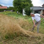 V Mistrzostwa Polski w Koszeniu Zboża