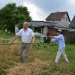 V Mistrzostwa Polski w Koszeniu Zboża