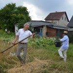 V Mistrzostwa Polski w Koszeniu Zboża