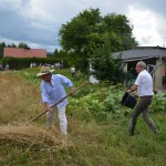 V Mistrzostwa Polski w Koszeniu Zboża