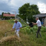 V Mistrzostwa Polski w Koszeniu Zboża