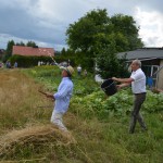 V Mistrzostwa Polski w Koszeniu Zboża