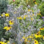 "Pamiętajcie o ogrodach"