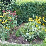 "Pamiętajcie o ogrodach"