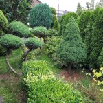 "Pamiętajcie o ogrodach"