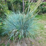 "Pamiętajcie o ogrodach"