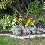 "Pamiętajcie o ogrodach"